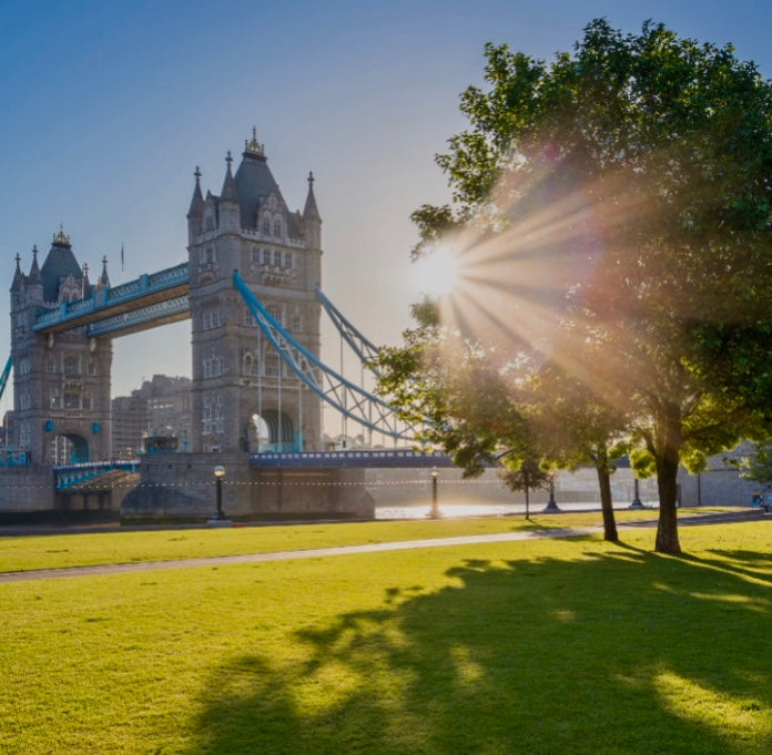 A London Homecoming with Tea, Bees, and Beautiful Moments