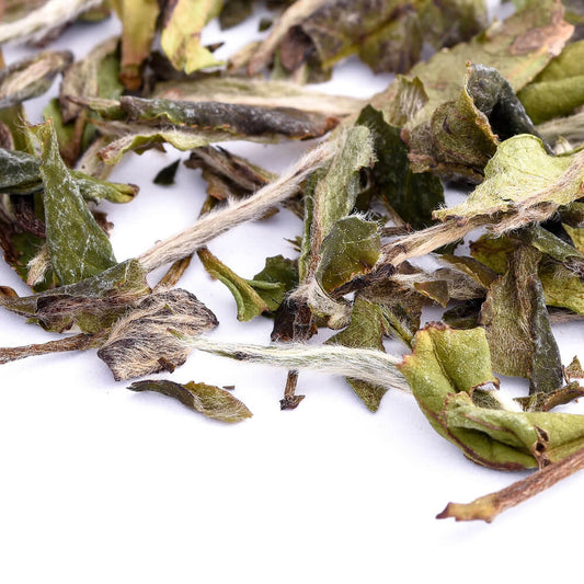 China-Pai-Mu-Tan-01-Crop