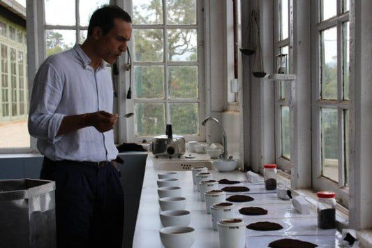 Tea Tasting
