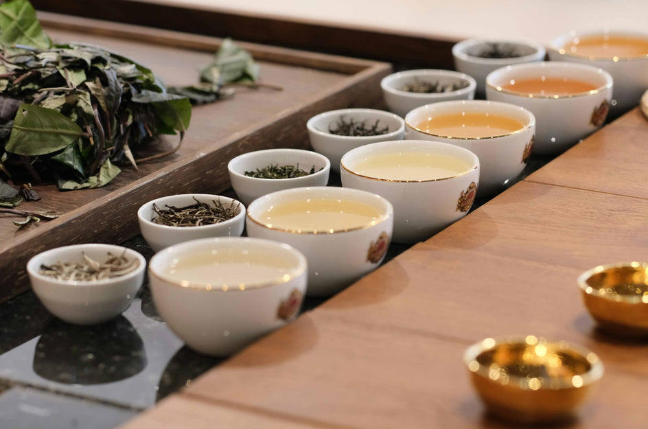 Herbal Tea vs Green Tea: Which Is Better for Wellness and Antioxidant Support?