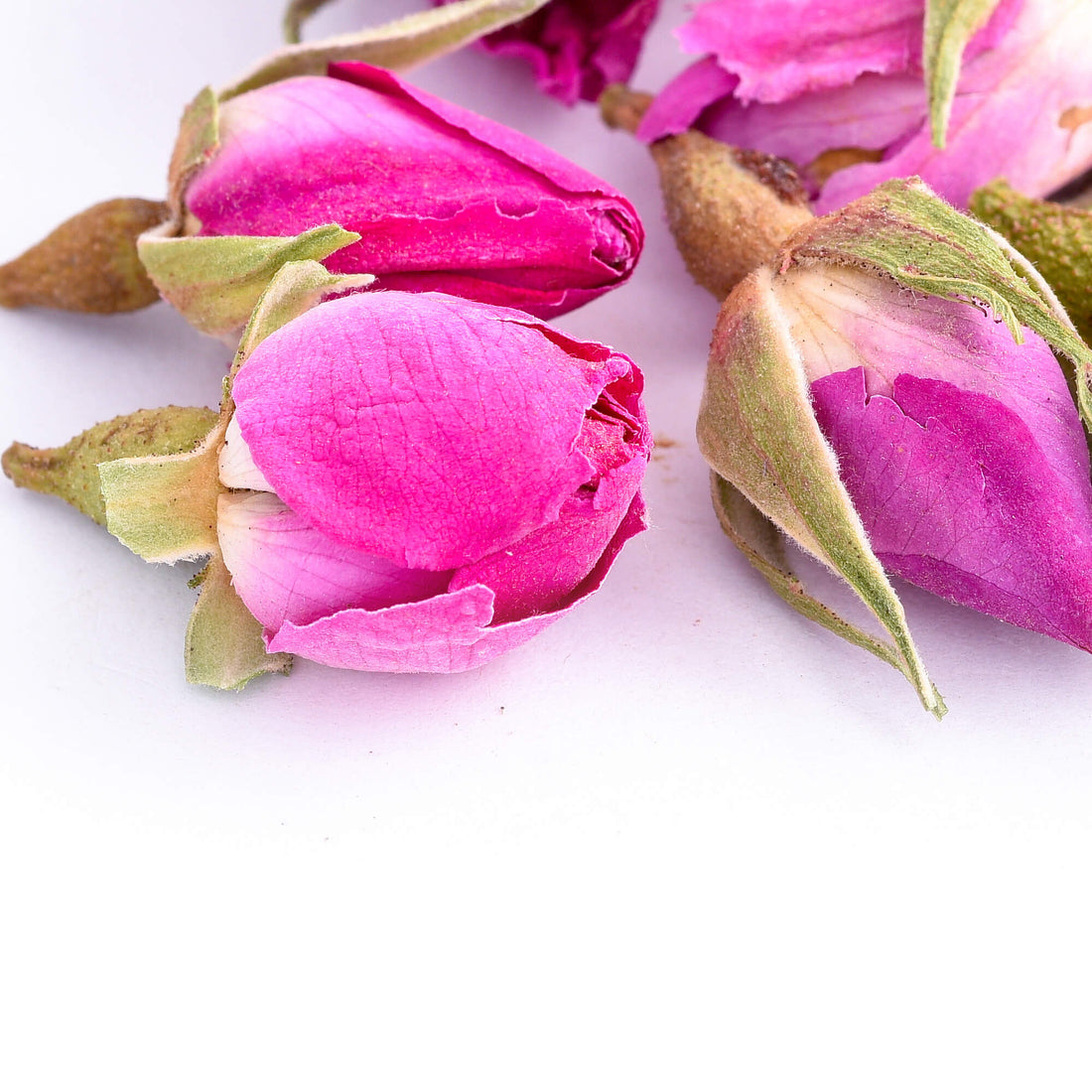 Rose-Buds-01 Crop 1 01