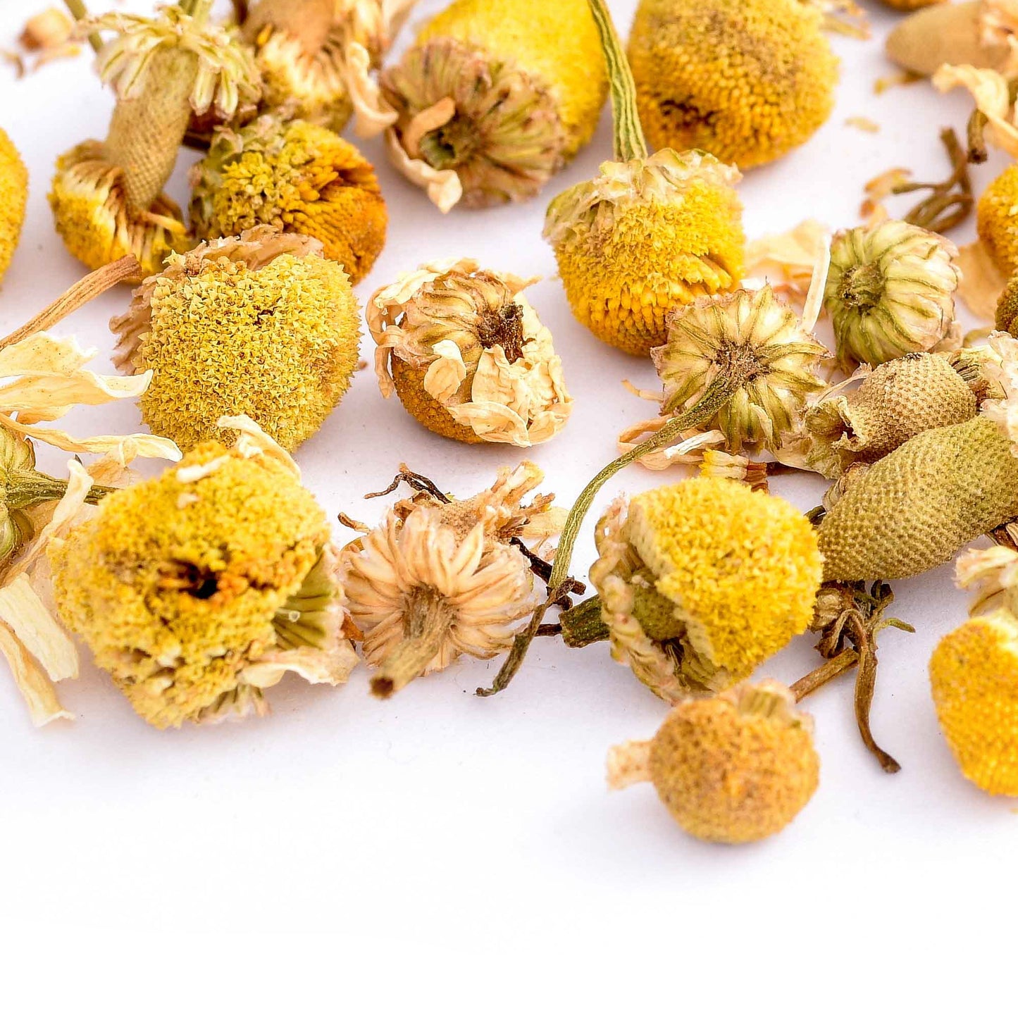 Chamomile