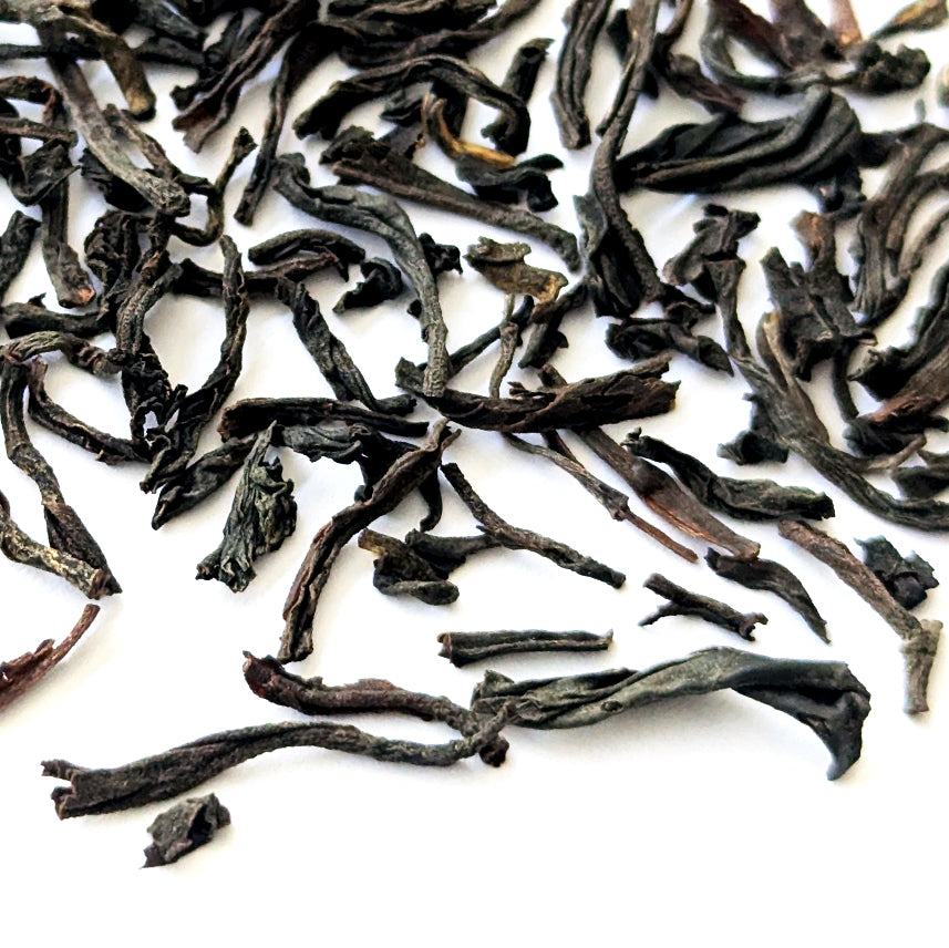 The Landmark - Winter Garden Blend