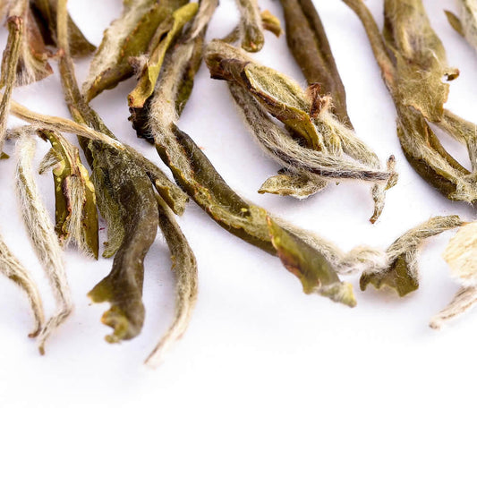 Snow-Buds-01-Crop